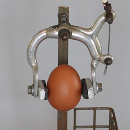 Egg Brake